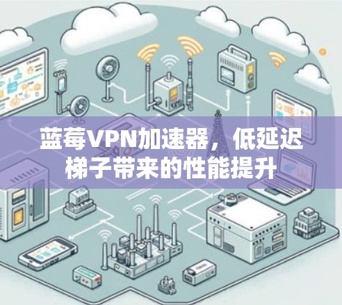蓝莓VPN加速器，低延迟梯子带来的性能提升