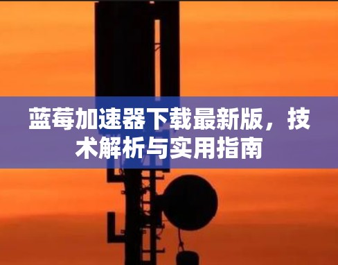 蓝莓加速器下载最新版，技术解析与实用指南