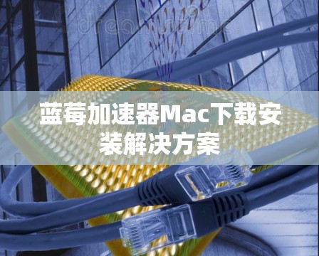 蓝莓加速器Mac下载安装解决方案