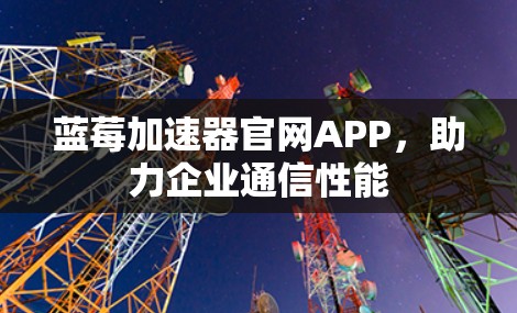 蓝莓加速器官网APP，助力企业通信性能