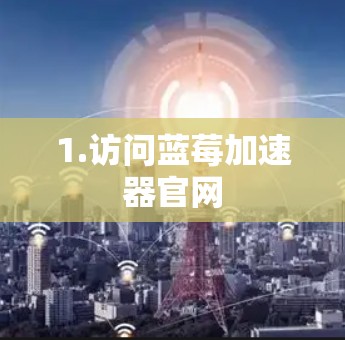 1.访问蓝莓加速器官网
