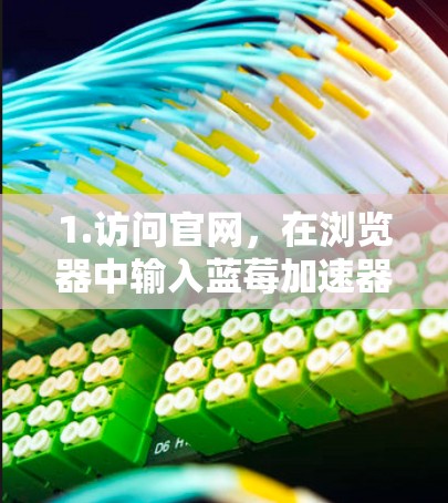 1.访问官网，在浏览器中输入蓝莓加速器官网稳定版，选择稳定版下载