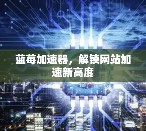 蓝莓加速器，解锁网站加速新高度