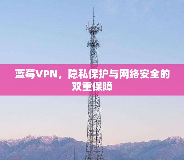 蓝莓VPN，隐私保护与网络安全的双重保障