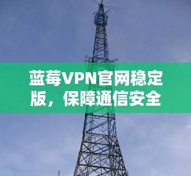 蓝莓VPN官网稳定版，保障通信安全的卓越选择