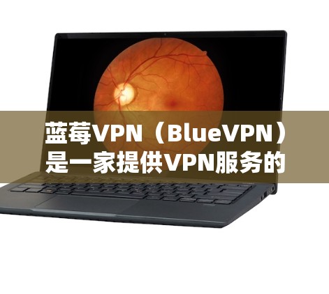 蓝莓VPN（BlueVPN）是一家提供VPN服务的公司，其官方网站通常为蓝莓VPN官网。根据我的知识截止到2024年7月，蓝莓VPN确实提供国际版服务，用户可以通过其官网访问