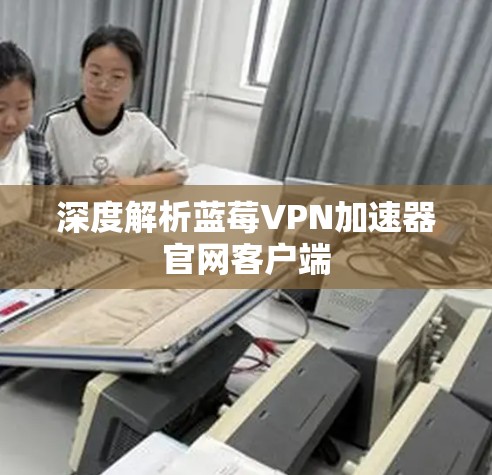 深度解析蓝莓VPN加速器官网客户端