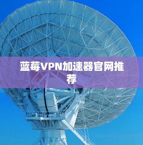 蓝莓VPN加速器官网推荐