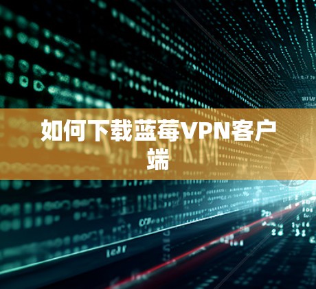 如何下载蓝莓VPN客户端
