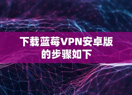 下载蓝莓VPN安卓版的步骤如下