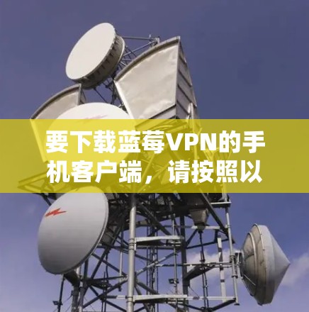 要下载蓝莓VPN的手机客户端，请按照以下步骤操作