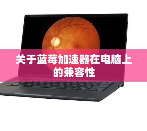 关于蓝莓加速器在电脑上的兼容性