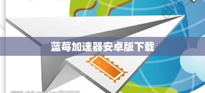 蓝莓加速器安卓版下载