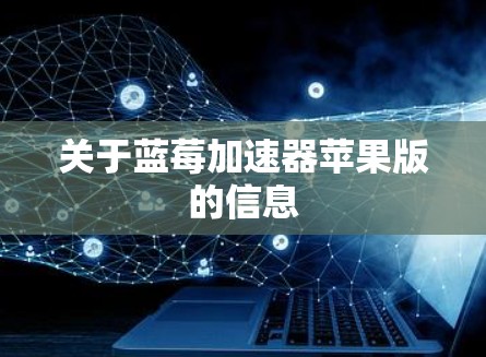 关于蓝莓加速器苹果版的信息