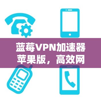蓝莓VPN加速器苹果版，高效网络解决方案
