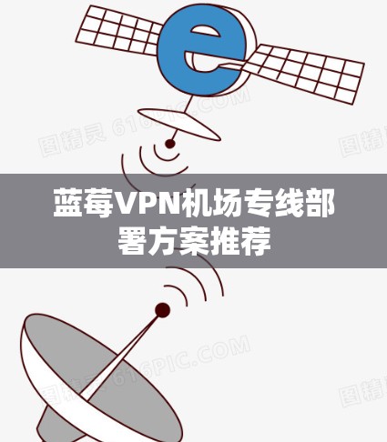 蓝莓VPN机场专线部署方案推荐