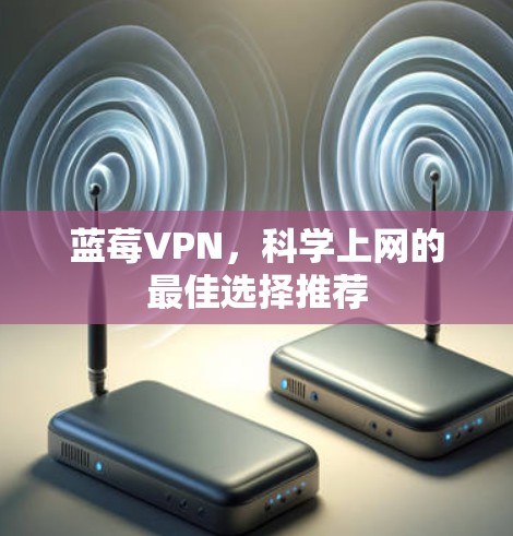 蓝莓VPN，科学上网的最佳选择推荐
