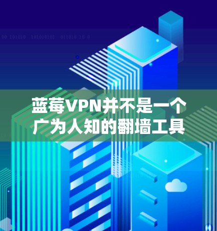 蓝莓VPN并不是一个广为人知的翻墙工具或VPN服务提供商。如果您指的是其他品牌或产品，请提供更多信息以便我更好地为您推荐合适的翻墙工具