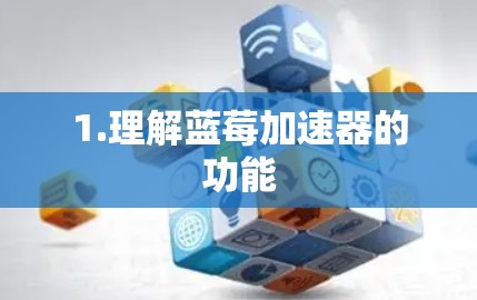 1.理解蓝莓加速器的功能