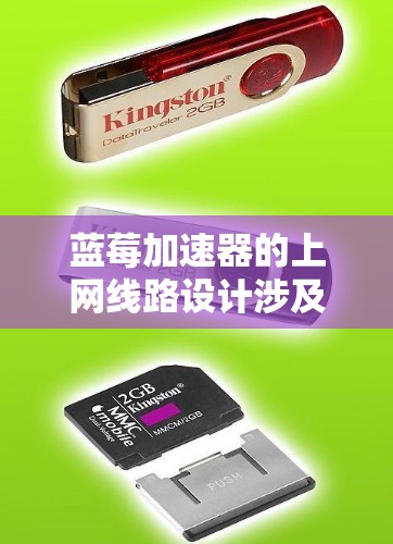 蓝莓加速器的上网线路设计涉及多个关键组成部分，确保其在科学实验中的高效、可靠和安全运行。以下是对其上网线路的详细分析