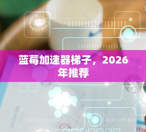 蓝莓加速器梯子，2026年推荐