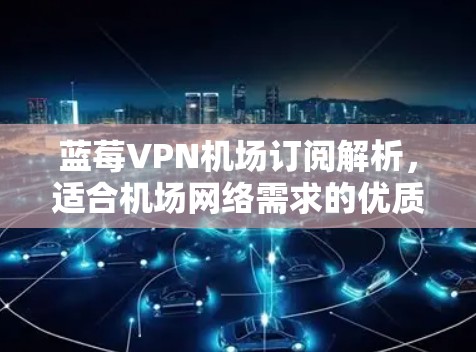 蓝莓VPN机场订阅解析，适合机场网络需求的优质方案