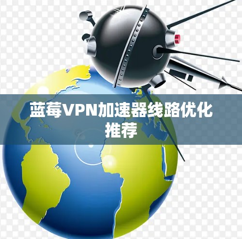 蓝莓VPN加速器线路优化推荐