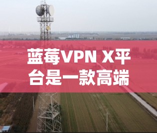 蓝莓VPN X平台是一款高端的网络安全解决方案，专为个人和企业用户提供安全、快速、可靠的网络连接服务。它结合了多种先进的网络技术和强大的安全保护机制，能够满足用户在复杂网络环境下的多样化需求