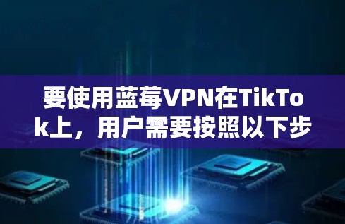 要使用蓝莓VPN在TikTok上，用户需要按照以下步骤操作