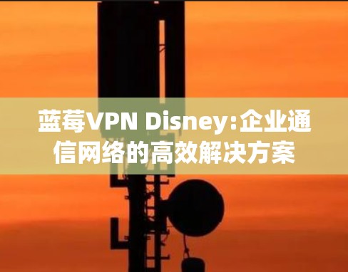 蓝莓VPN Disney:企业通信网络的高效解决方案