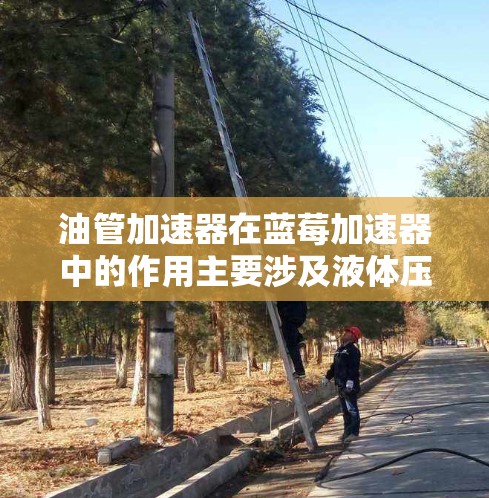 油管加速器在蓝莓加速器中的作用主要涉及液体压缩与能量传递。以下是对油管加速器及其作用的详细解析