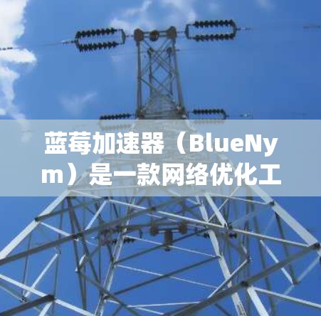 蓝莓加速器（BlueNym）是一款网络优化工具，旨在通过调整网络协议和设置来提高网络连接速度，从而优化流媒体体验。以下是关于蓝莓加速器的详细分析和总结