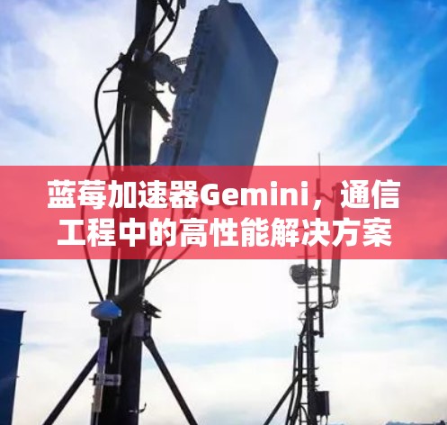 蓝莓加速器Gemini，通信工程中的高性能解决方案