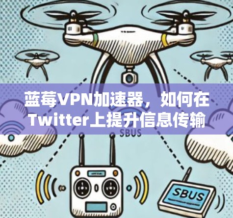 蓝莓VPN加速器，如何在Twitter上提升信息传输效率
