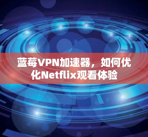 蓝莓VPN加速器，如何优化Netflix观看体验