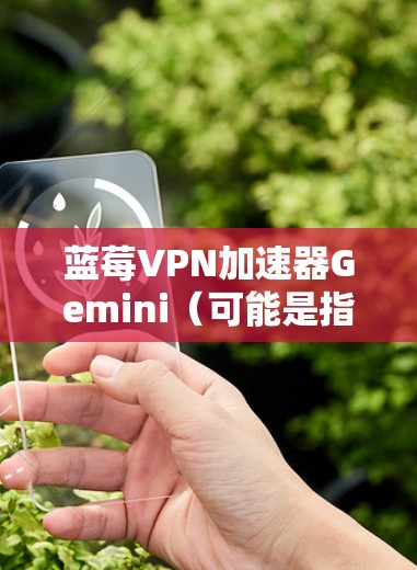 蓝莓VPN加速器Gemini（可能是指BlueVPN Gemini）是一款网络优化和加速工具，旨在提升网络连接的速度和稳定性。以下是关于它的一些详细信息