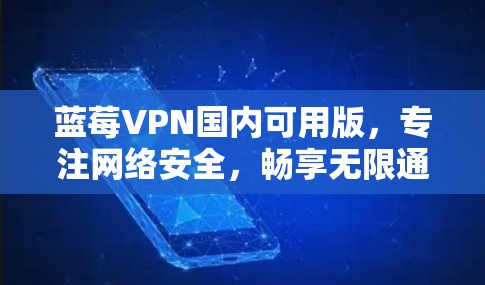 蓝莓VPN国内可用版，专注网络安全，畅享无限通行