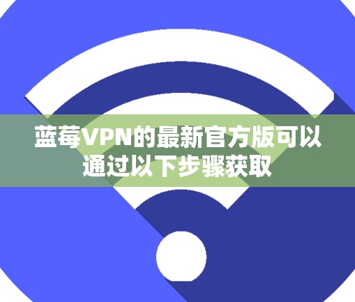 蓝莓VPN的最新官方版可以通过以下步骤获取