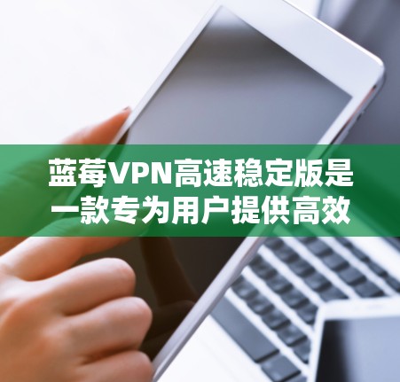 蓝莓VPN高速稳定版是一款专为用户提供高效、安全、快速VPN服务的应用。以下是详细介绍