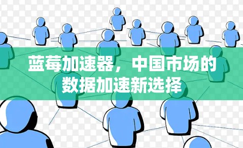 蓝莓加速器，中国市场的数据加速新选择