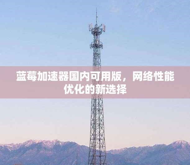 蓝莓加速器国内可用版，网络性能优化的新选择
