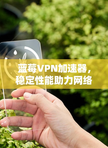 蓝莓VPN加速器，稳定性能助力网络优化