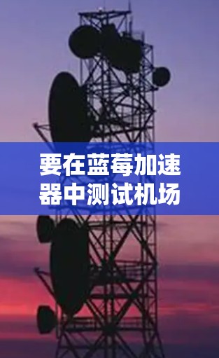 要在蓝莓加速器中测试机场节点的性能，可以按照以下步骤进行