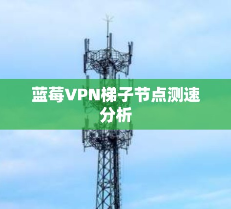 蓝莓VPN梯子节点测速分析