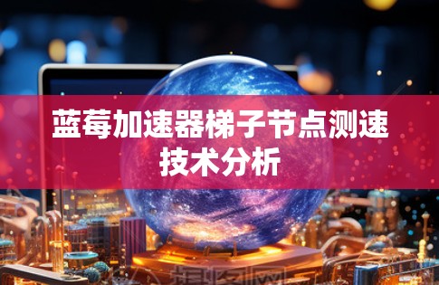 蓝莓加速器梯子节点测速技术分析