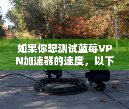 如果你想测试蓝莓VPN加速器的速度，以下是一些方法可以帮助你测量和分析其性能