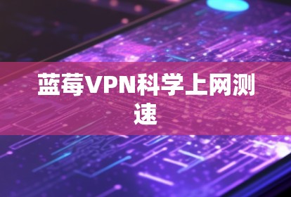 蓝莓VPN科学上网测速