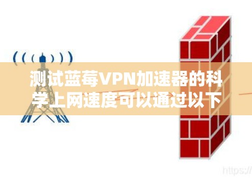 测试蓝莓VPN加速器的科学上网速度可以通过以下步骤进行