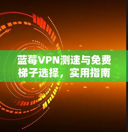 蓝莓VPN测速与免费梯子选择，实用指南