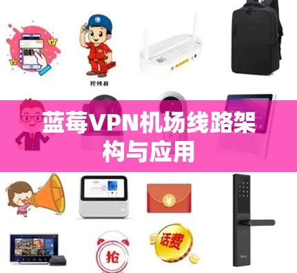 蓝莓VPN机场线路架构与应用